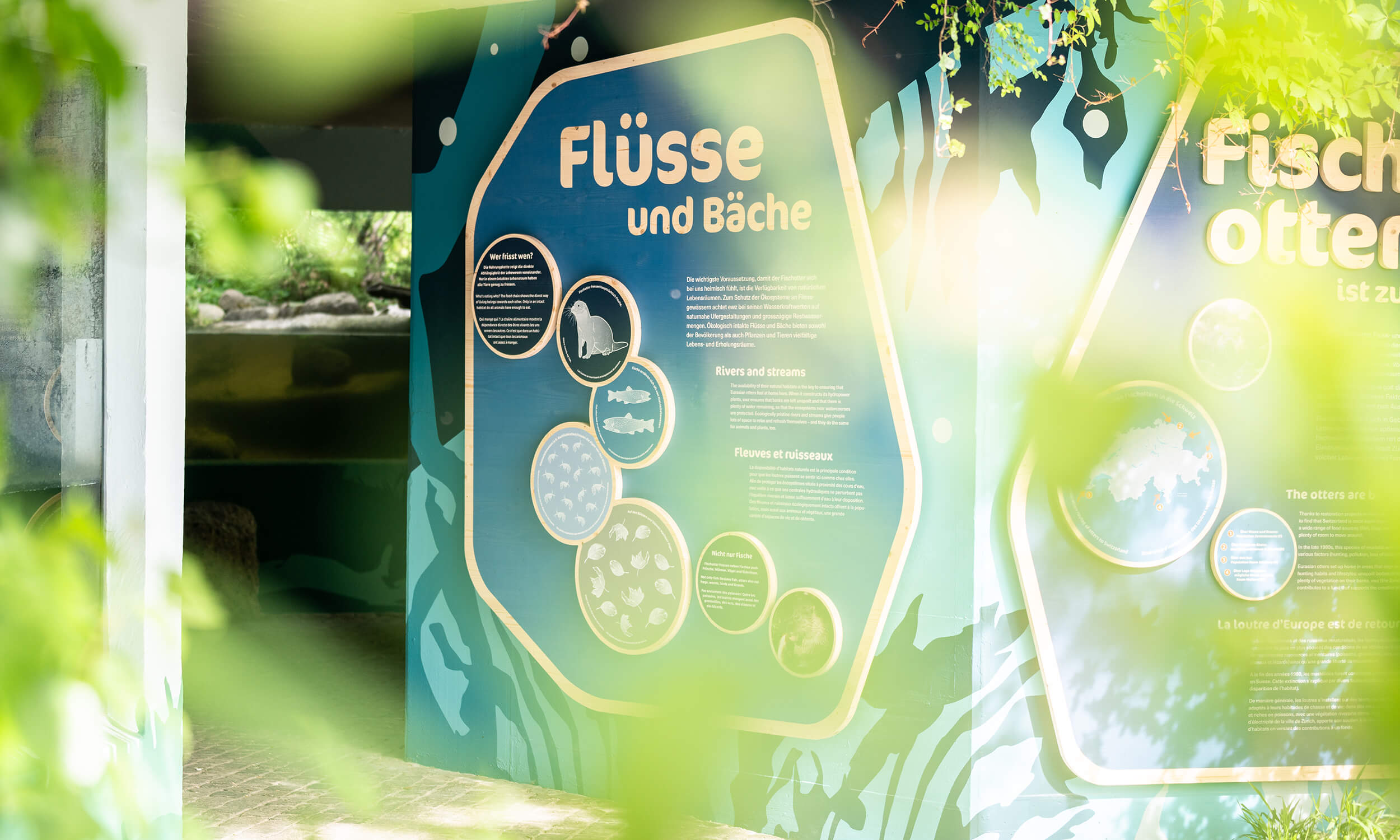 ewz im Zoo Zürich – Der Fischotter ist zurück