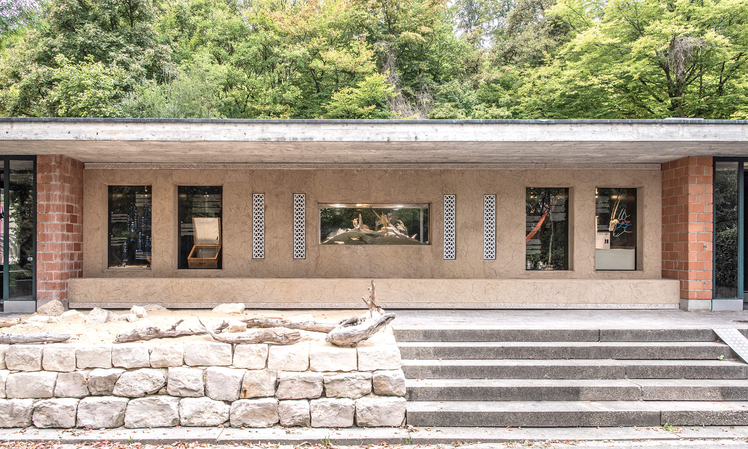 ewz im Zoo Zürich – ein Leben mit der Sonne